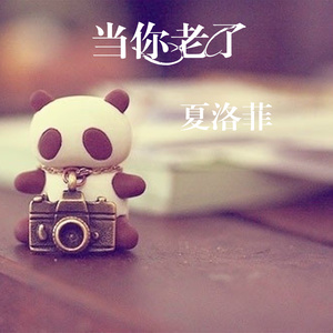 当你老了 (伴奏)