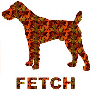 Generations (Radio Edit)