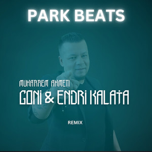 Goni & Endri Kalaja (Remix)