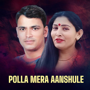 Polla Mera Aanshule