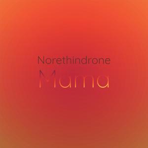 Norethindrone Mama