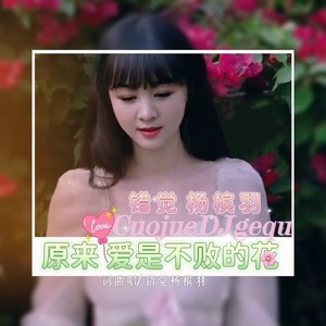 原来爱是不败的花-加速版
