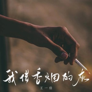 王一佳 - 我借香烟的灰