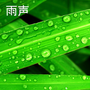 雨声