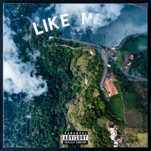 Like Me (feat. 2rareskie & LilTee) (Explicit)