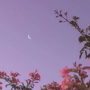 我走后