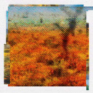 superbloom (brompton remix)