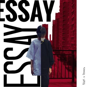 ESSAY