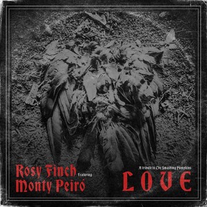 Rosy Finch - Love(feat. Monty Peiró)
