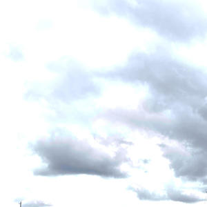 darkness turns to bliss