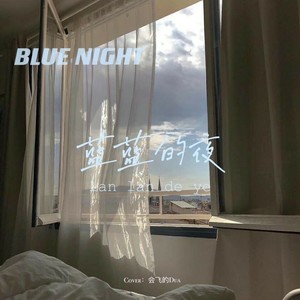 会飞的dua - 蓝蓝的夜