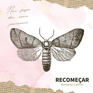 Meu Peito Palpitando-Mariana Curvo