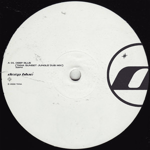 deep blue (TANA Sunset Jungle Dub Mix|Explicit)
