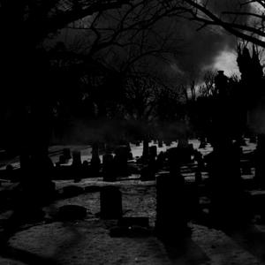 fall back, all angels win (feat. sorrowbringer) (Explicit)