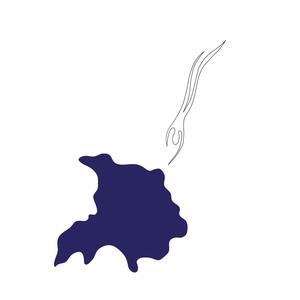 Divercity (feat. Dropdmic)