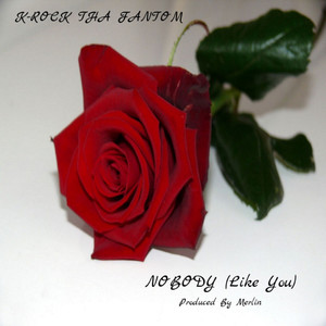 Nobody(Like You)