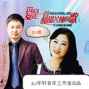 爱是一首酸甜苦辣的歌 (DJ宇轩2020Remix水兵舞版)