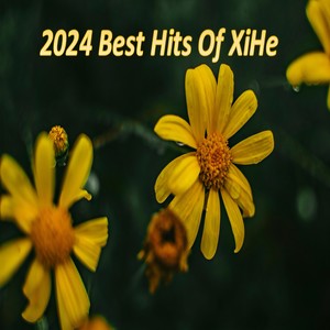 How you like that (New Version 2024)
