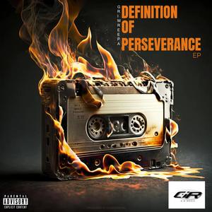 DEFINITION OF PERSEVERANCE (Explicit)