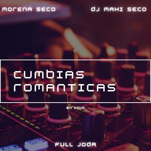 Cumbias Romanticas (En Vivo) [Remix]