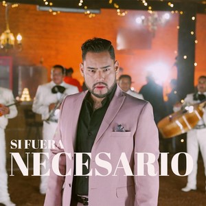 Si Fuera Necesario