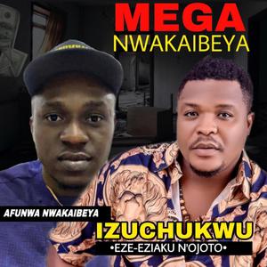 Mega Nwakaibeya