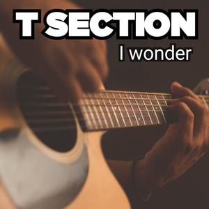 I wonder (feat. T Section)