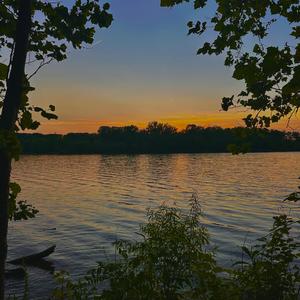 Telepathy (Explicit)