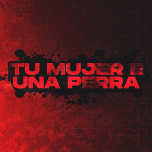 Tu Mujer E Una Perra (feat. Brianmix) (Explicit)