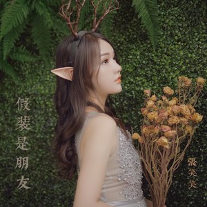 张笑笑 - 假装是朋友 (伴奏)