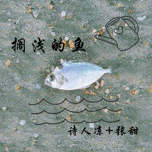 搁浅的鱼