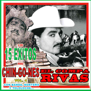 Los 15 Exitos Mas Chingones, Vol. 4