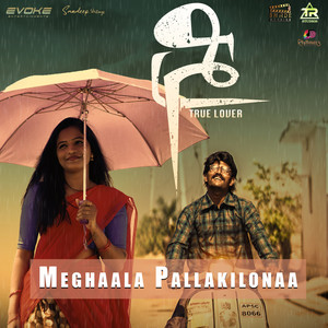 Meghaala Pallakilonaa (From "Sree True Lover")