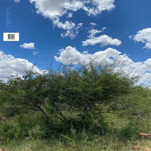 Expectations (feat. Solo Otto & Kobebeats)