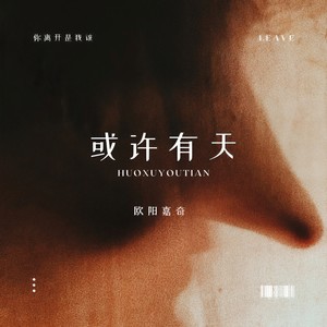 或许有天