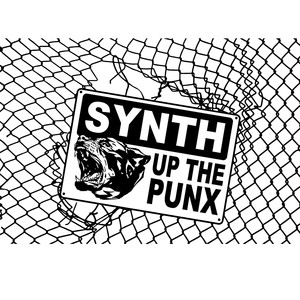 SYNTH UP THE PUNX