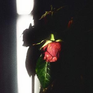 SUMMER IS OVER. (feat. NDM Dresden) (Explicit)