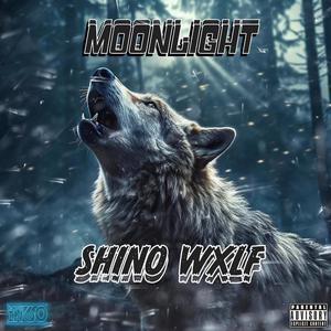 Moonlight (Explicit)