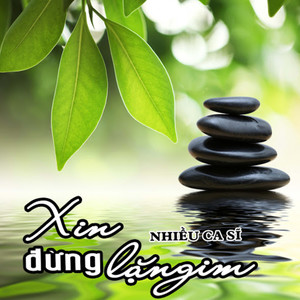 Câu Chuyện Đầu Năm