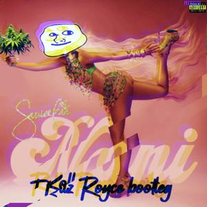 Nani (Radio Edit|Explicit)