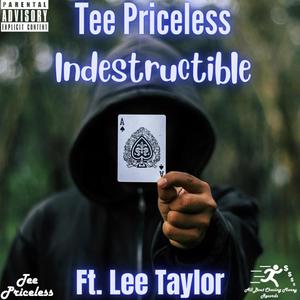 Indestructible(feat. Lee Taylor) (Explicit)