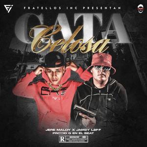 GATA CELOSA (feat. JAMZY L2FF)