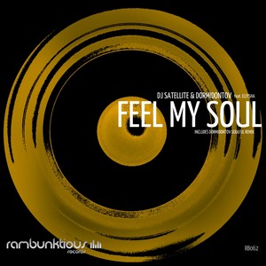 Feel My Soul (Dormidontov Soulful Remix)