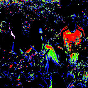 Yume Mysterious (feat. deepmolly & daR.) (Explicit)