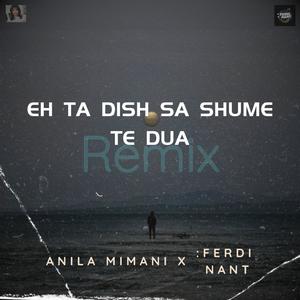 Eh ta dish sa shume te dua (feat. Anila Mimani) (Remix)
