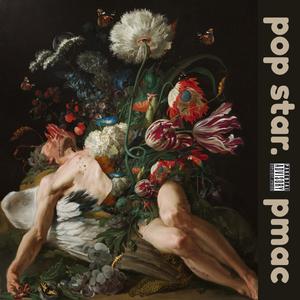 pop star (Explicit)