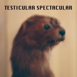 TESTICULAR SPECTACULAR (Explicit)