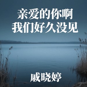 回头是漫天星河-戚晓婷