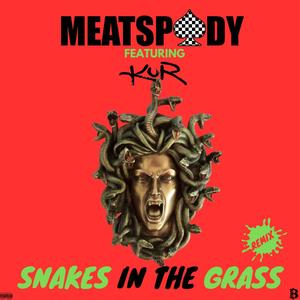 Snakes In The Grass (feat. Kur) [Remix] [Explicit]