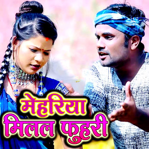 Mehariya Milal Fuhari